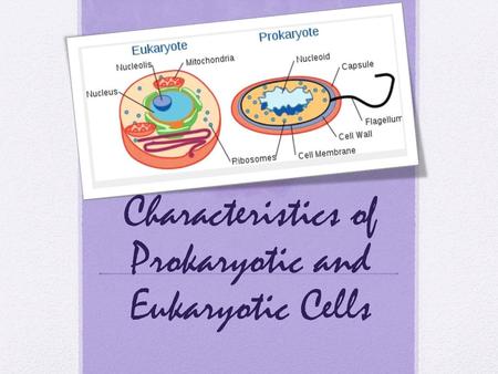 Characteristics of Prokaryotic and Eukaryotic Cells