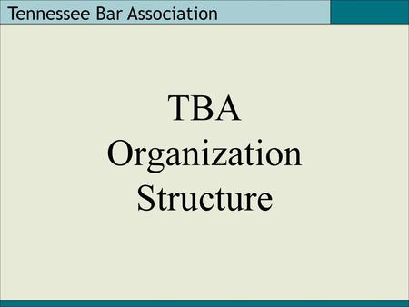 TBA Organization Structure