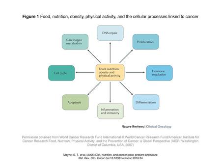 Figure 1 Food, nutrition, obesity, physical activity, and the cellular processes linked to cancer Figure 1 | Food, nutrition, obesity, physical activity,
