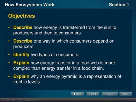 Objectives Describe how energy is transferred from the sun to producers and then to consumers. Describe one way in which consumers depend on producers.
