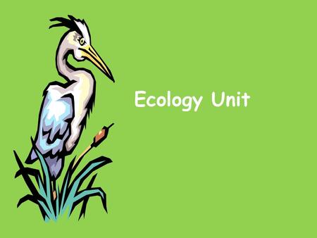 Ecology Unit.