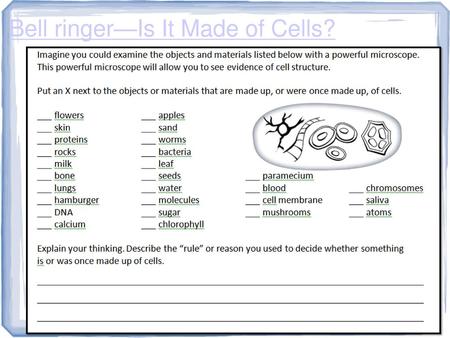 Bell ringer—Is It Made of Cells?