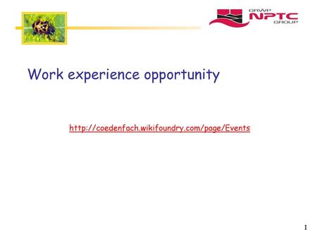 Work experience opportunity