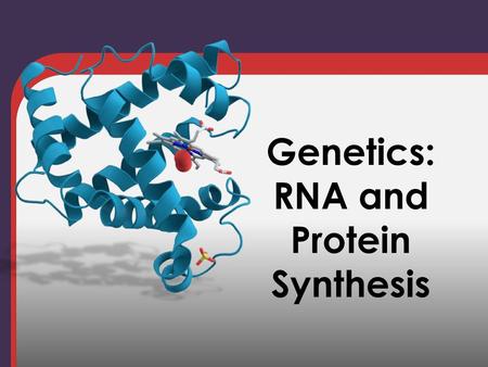 Genetics: RNA and Protein Synthesis