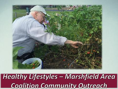 Healthy Lifestyles – Marshfield Area Coalition Community Outreach