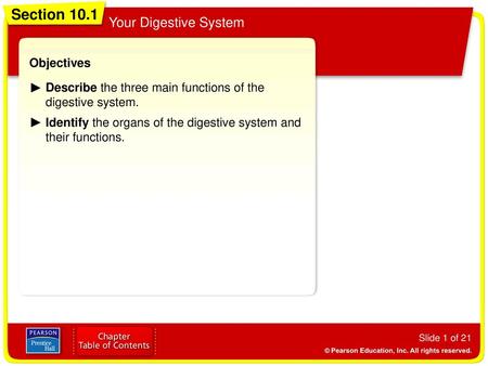 Section 10.1 Your Digestive System Objectives