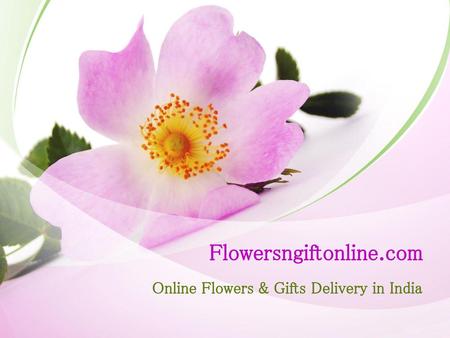 Online Flowers & Gifts Delivery in India
