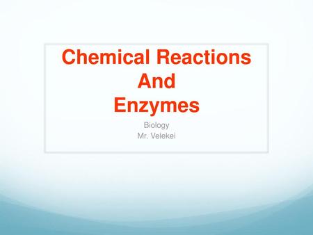 Chemical Reactions And Enzymes