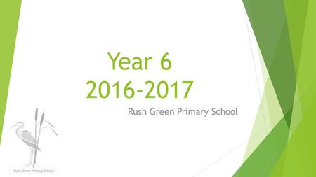 Rush Green Primary School