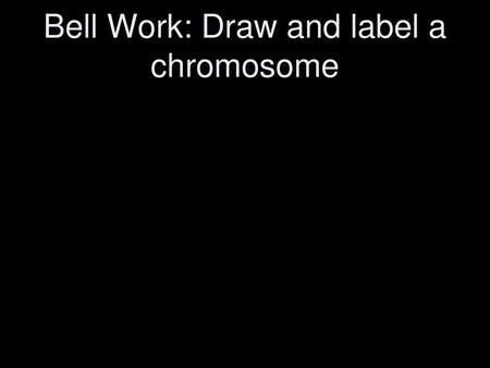 Bell Work: Draw and label a chromosome