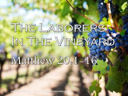 The Laborers In The Vineyard