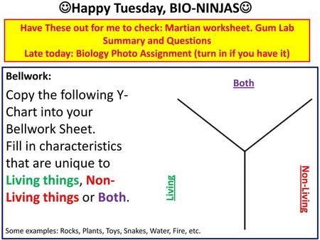 Happy Tuesday, BIO-NINJAS