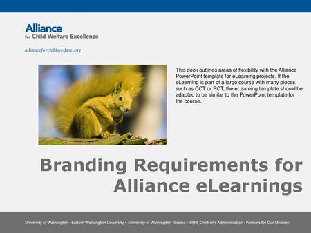 Branding Requirements for Alliance eLearnings