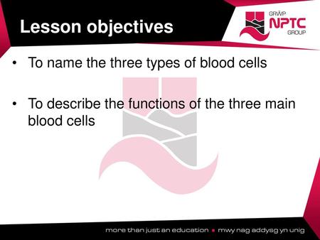 Lesson objectives To name the three types of blood cells