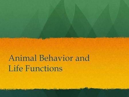 Animal Behavior and Life Functions
