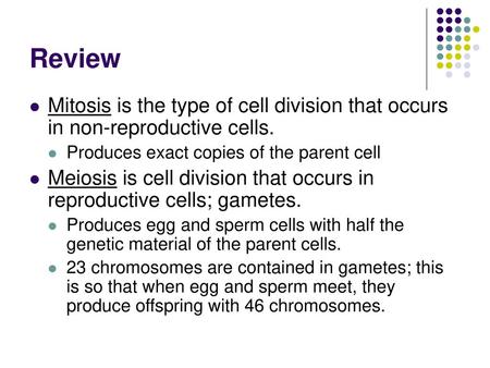 Review Mitosis is the type of cell division that occurs in non-reproductive cells. Produces exact copies of the parent cell Meiosis is cell division that.