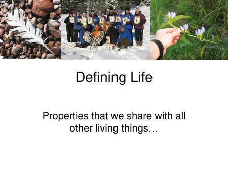 Properties that we share with all other living things…