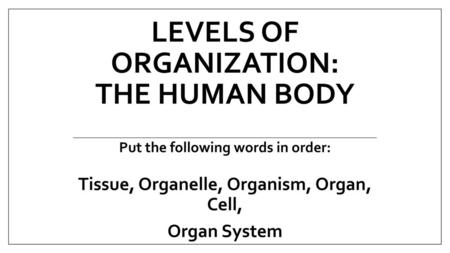 Levels of Organization: The Human Body