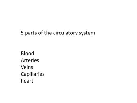 5 parts of the circulatory system