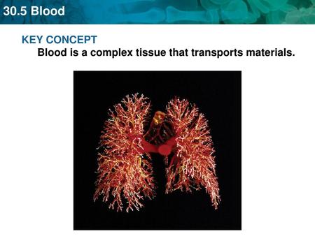 KEY CONCEPT  Blood is a complex tissue that transports materials.