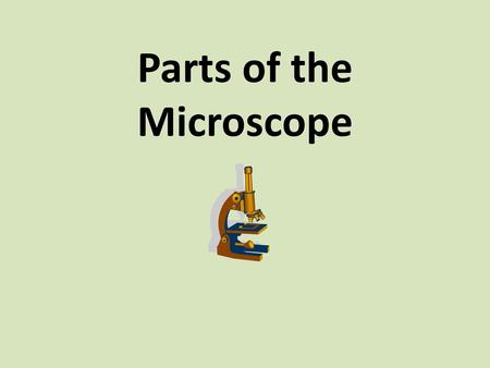 Parts of the Microscope.