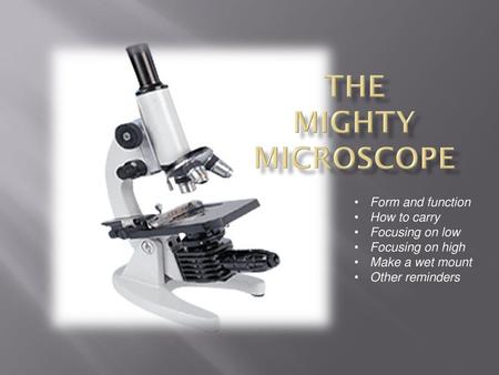 The Mighty Microscope Form and function How to carry Focusing on low