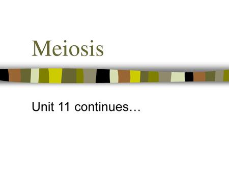 Meiosis Unit 11 continues….