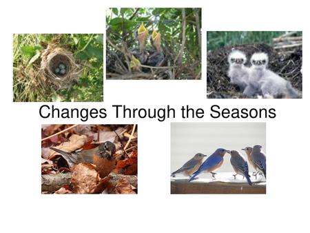 Changes Through the Seasons