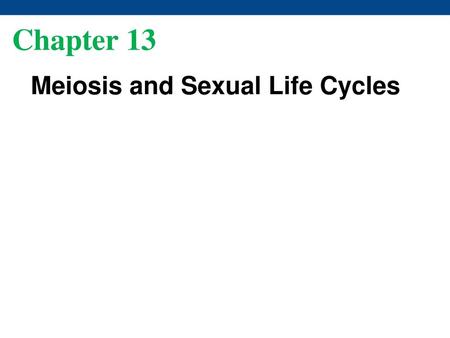 Chapter 13 Meiosis and Sexual Life Cycles.