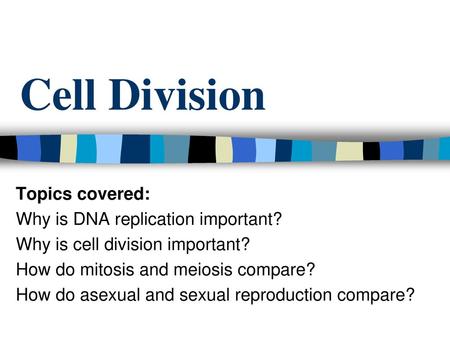Cell Division Topics covered: Why is DNA replication important?