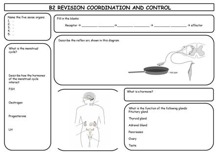 B2 REVISION COORDINATION AND CONTROL