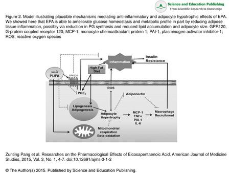 Figure 2. Model illustrating plausible mechanisms mediating anti-inflammatory and adipocyte hypotrophic effects of EPA. We showed here that EPA is able.