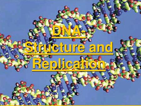 DNA- Structure and Replication