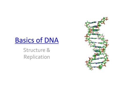 Structure & Replication