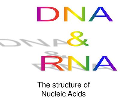 The structure of Nucleic Acids