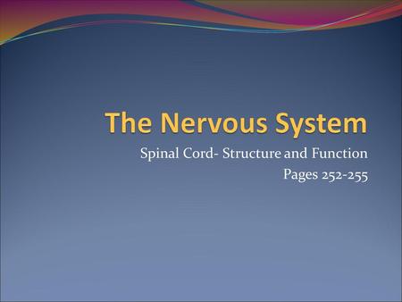 Spinal Cord- Structure and Function Pages