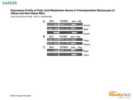 Expression Profile of Fatty Acid Metabolism Genes in Preimplantation Blastocysts of Obese and Non-Obese Mice Obes Facts 2012;5:575–586 - DOI:10.1159/000342583.