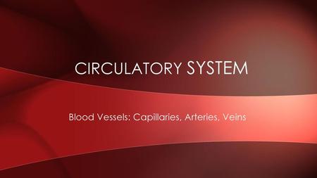 Blood Vessels: Capillaries, Arteries, Veins