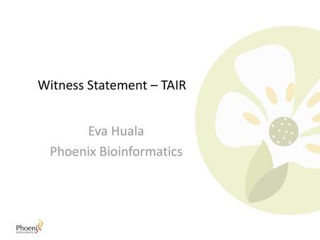 Witness Statement – TAIR
