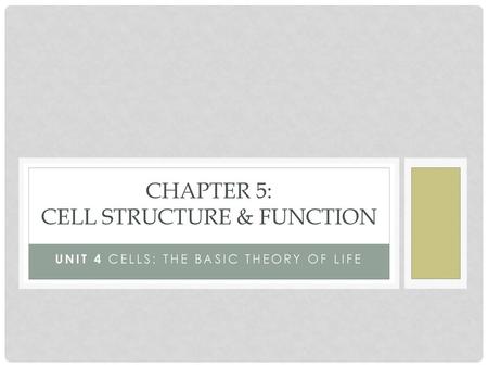 Chapter 5: Cell structure & function