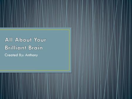 All About Your Brilliant Brain