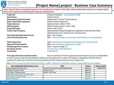 [Project Name] project - Business Case Summary