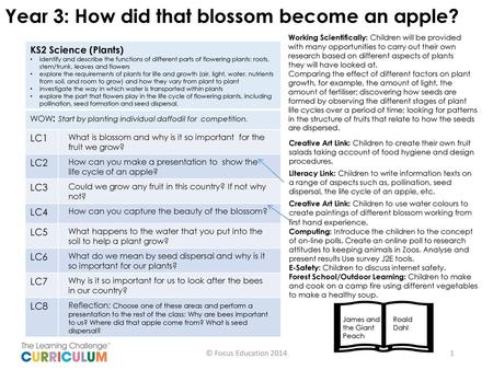 Year 3: How did that blossom become an apple?