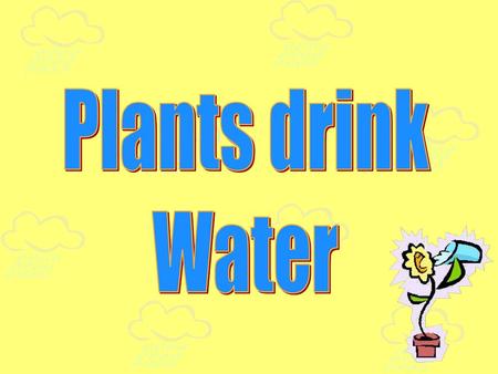Plants drink Water.