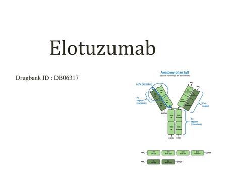 Elotuzumab Drugbank ID : DB06317.