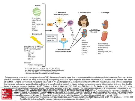 Pathogenesis of systemic lupus erythematosus (SLE)