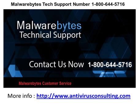 Malwarebytes Tech Support Number 