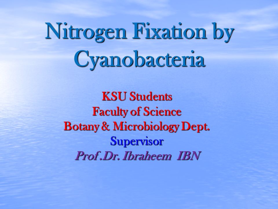 Nitrogen Fixation By Cyanobacteria Ppt Video Online Download