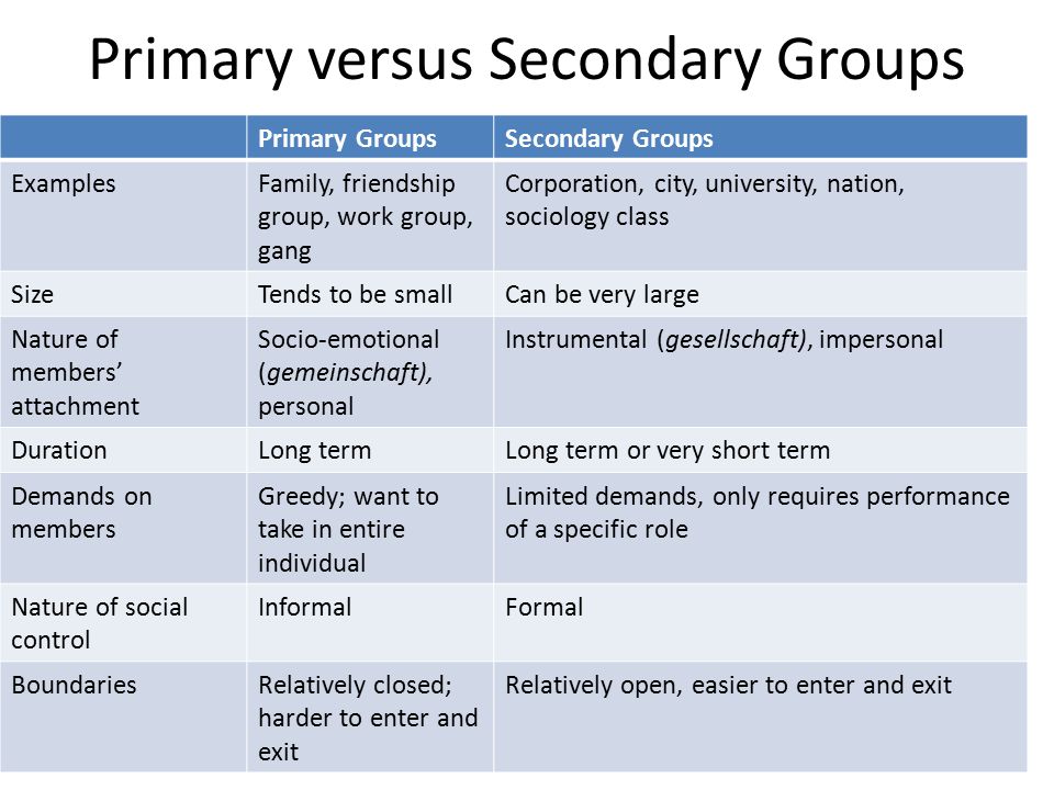 what is a primary group