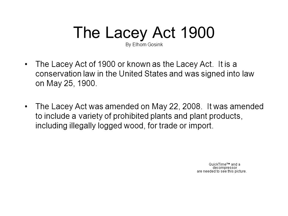 The Lacey Act 1900 By Elhom Gosink - ppt video online download